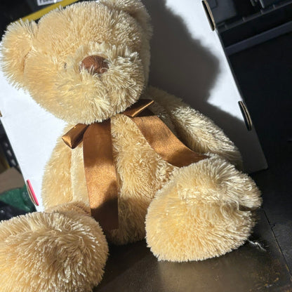 Large Teddy - Plushie