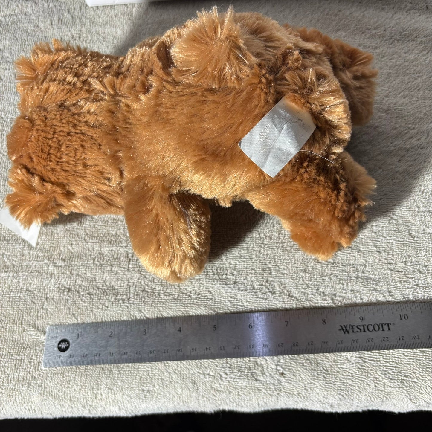 Brown Bear - Plushie