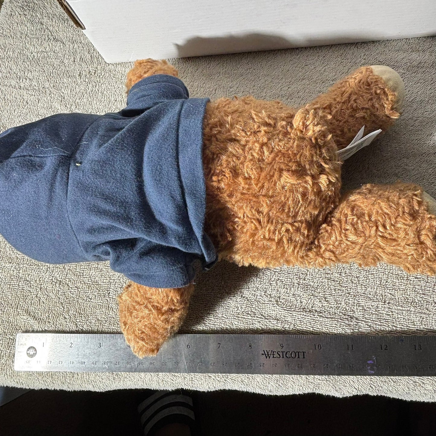 Fiesta Hoodie Bear - Plushie