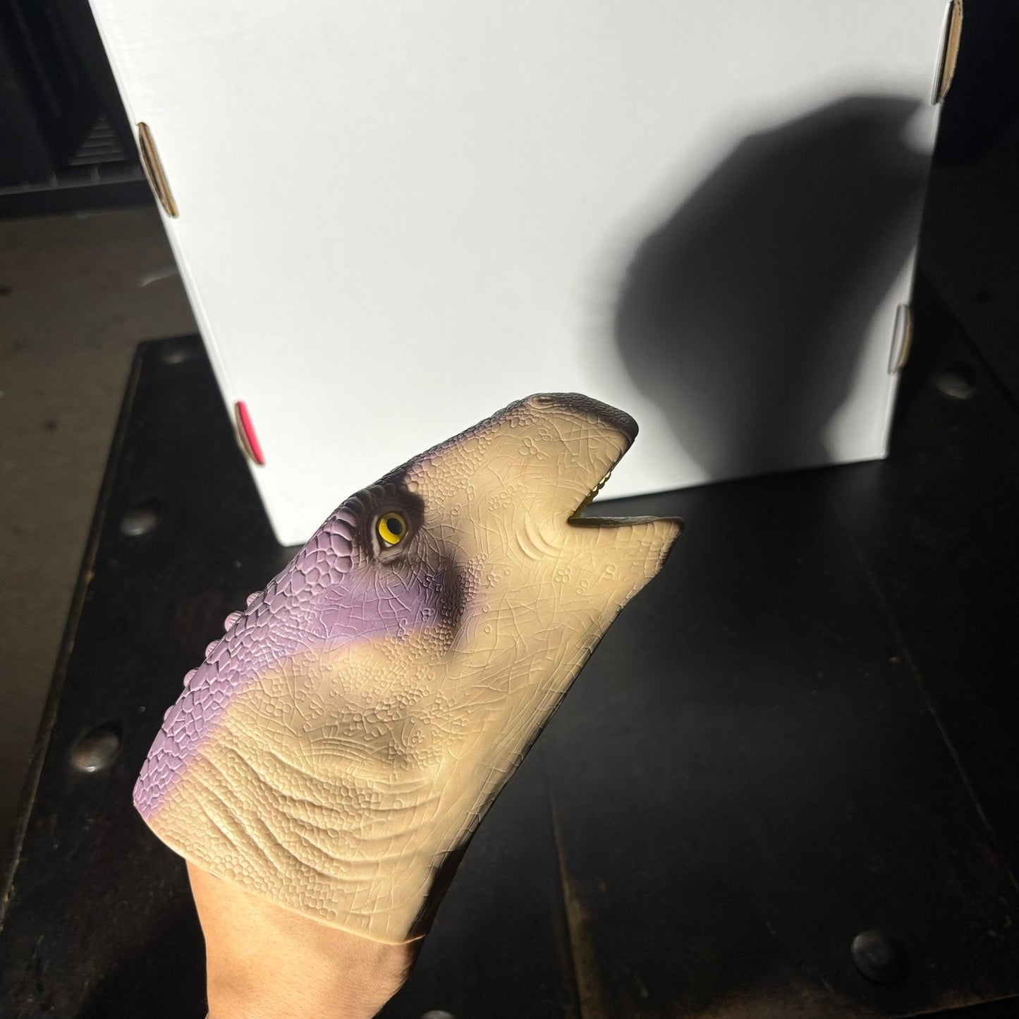 Dino Face - Toy