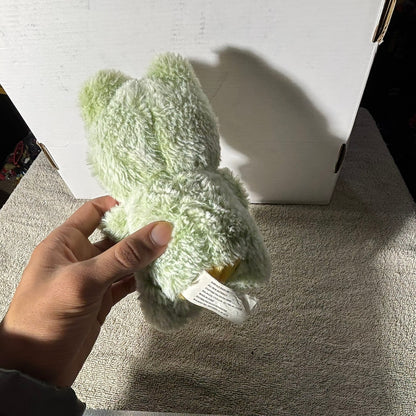 Cute Frog - Plushie