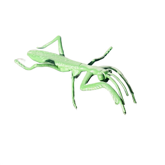 Green Bug - Toy