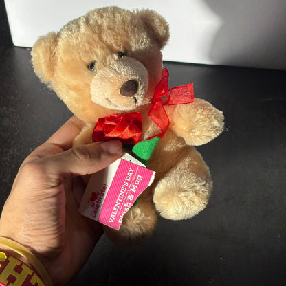Cute Teddy - Plushie