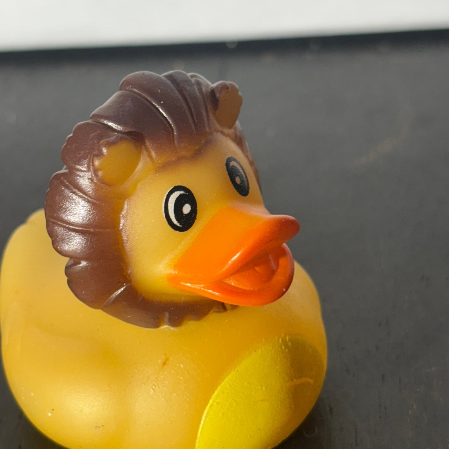 Lion Duck - Toy