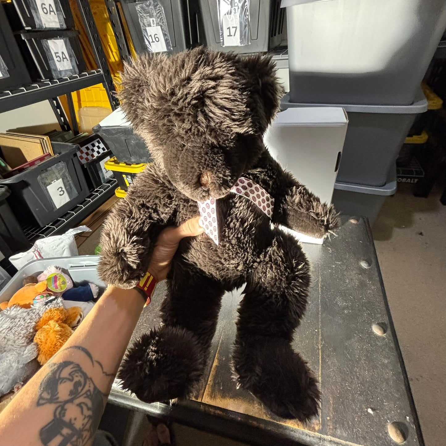 Wish Pets Bear - Plushie