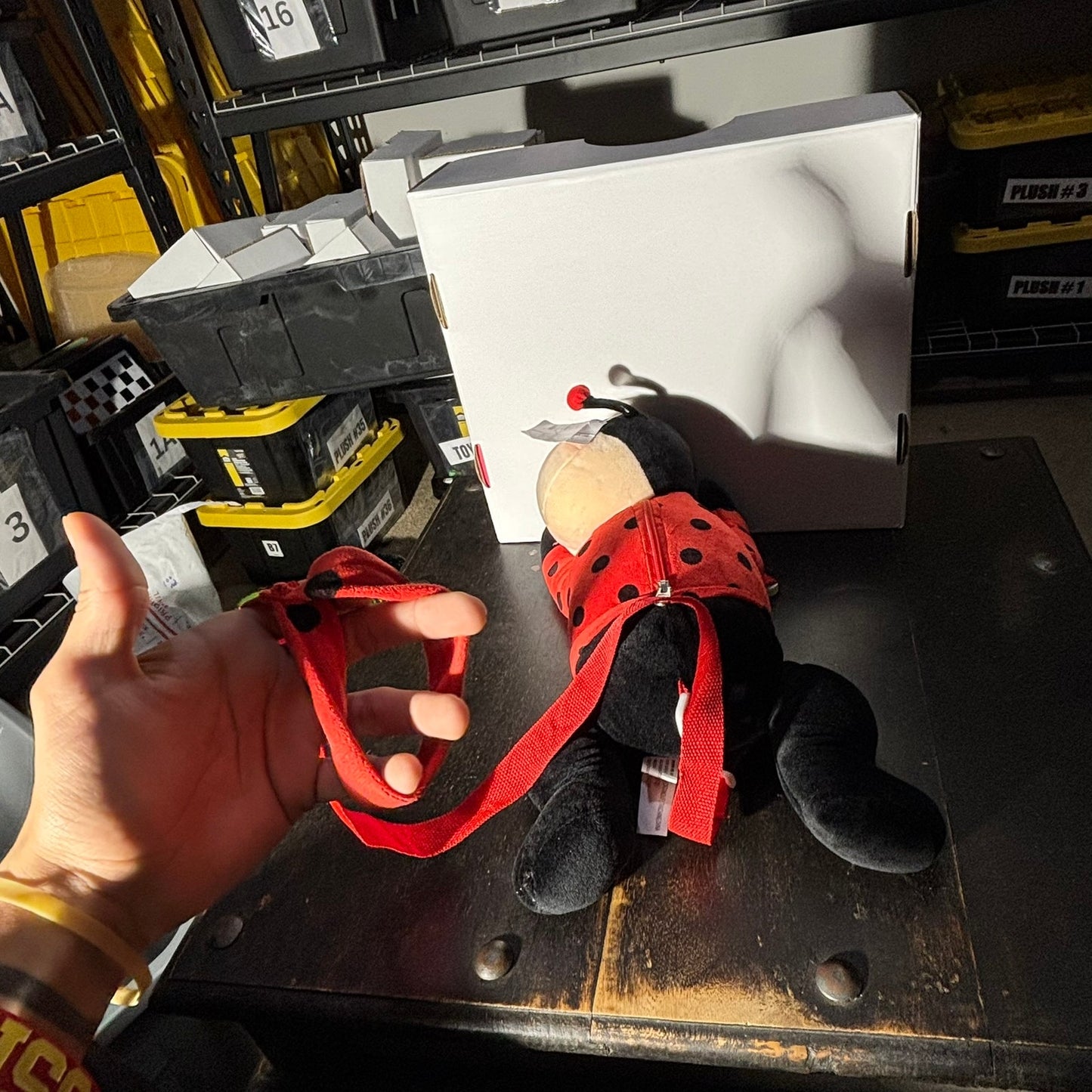 Lady Bug Backpack - Plushie