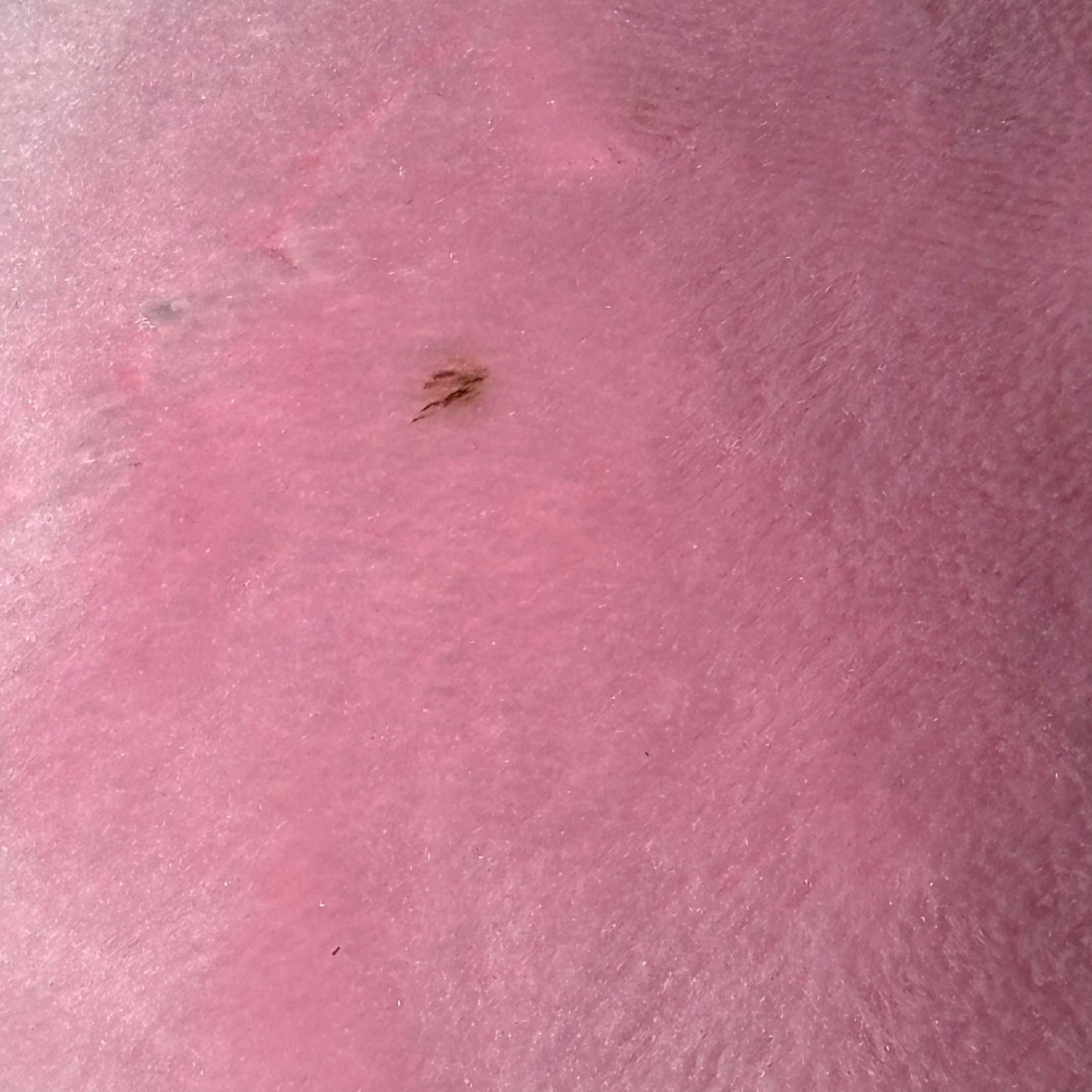 Squishy Easter - Plushie