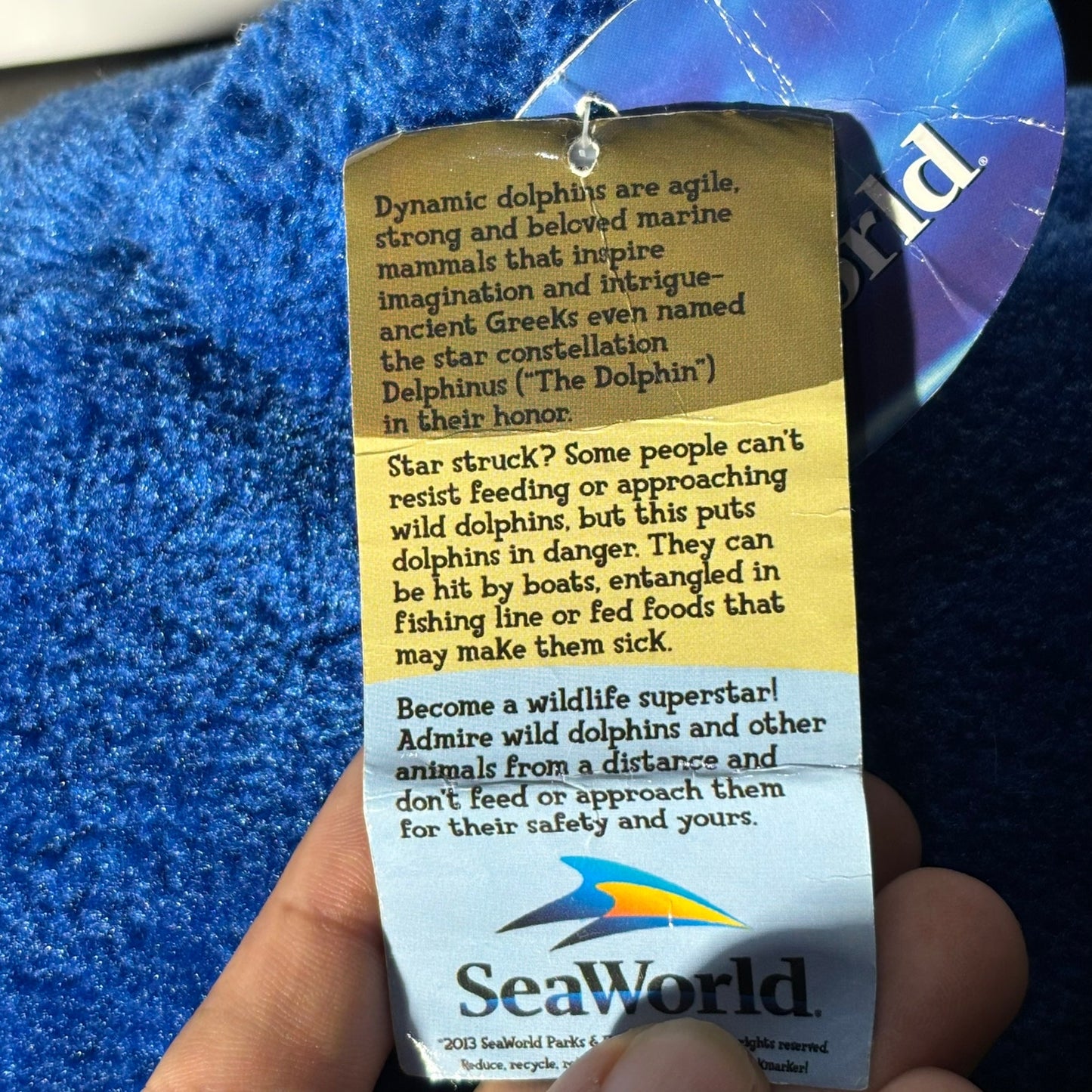 Sea World Dolphin - Plushie