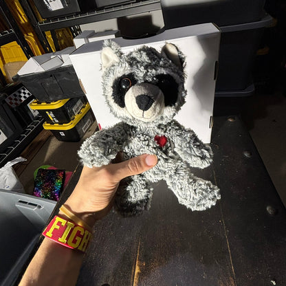 Cute Racoon - Plushie