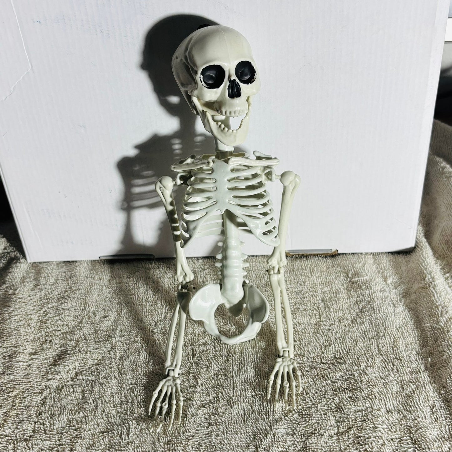 Skeleton - Toy