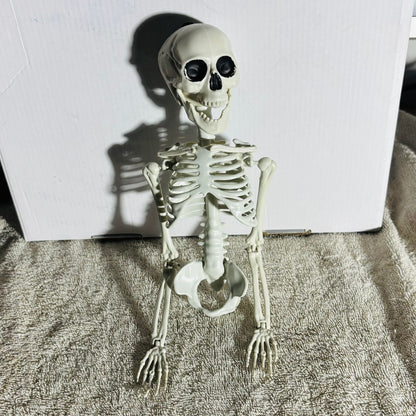 Skeleton - Toy
