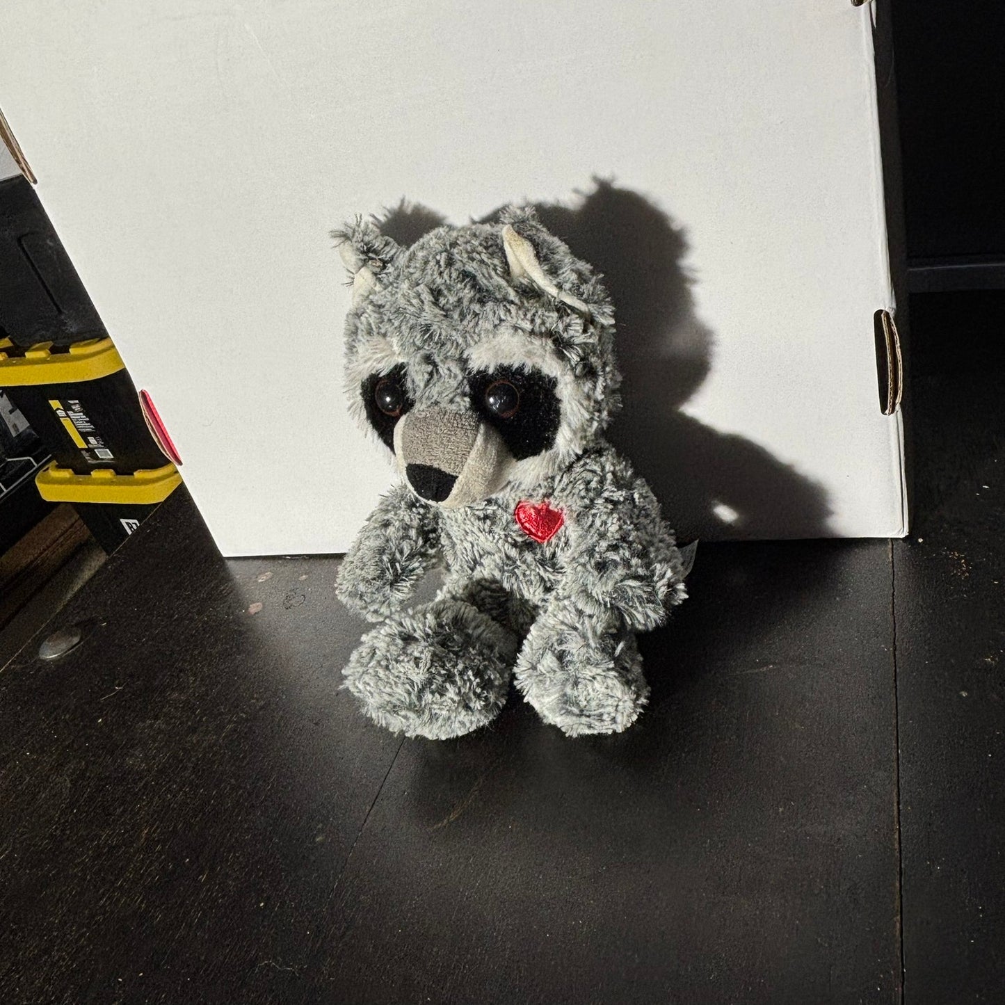 Cute Racoon - Plushie