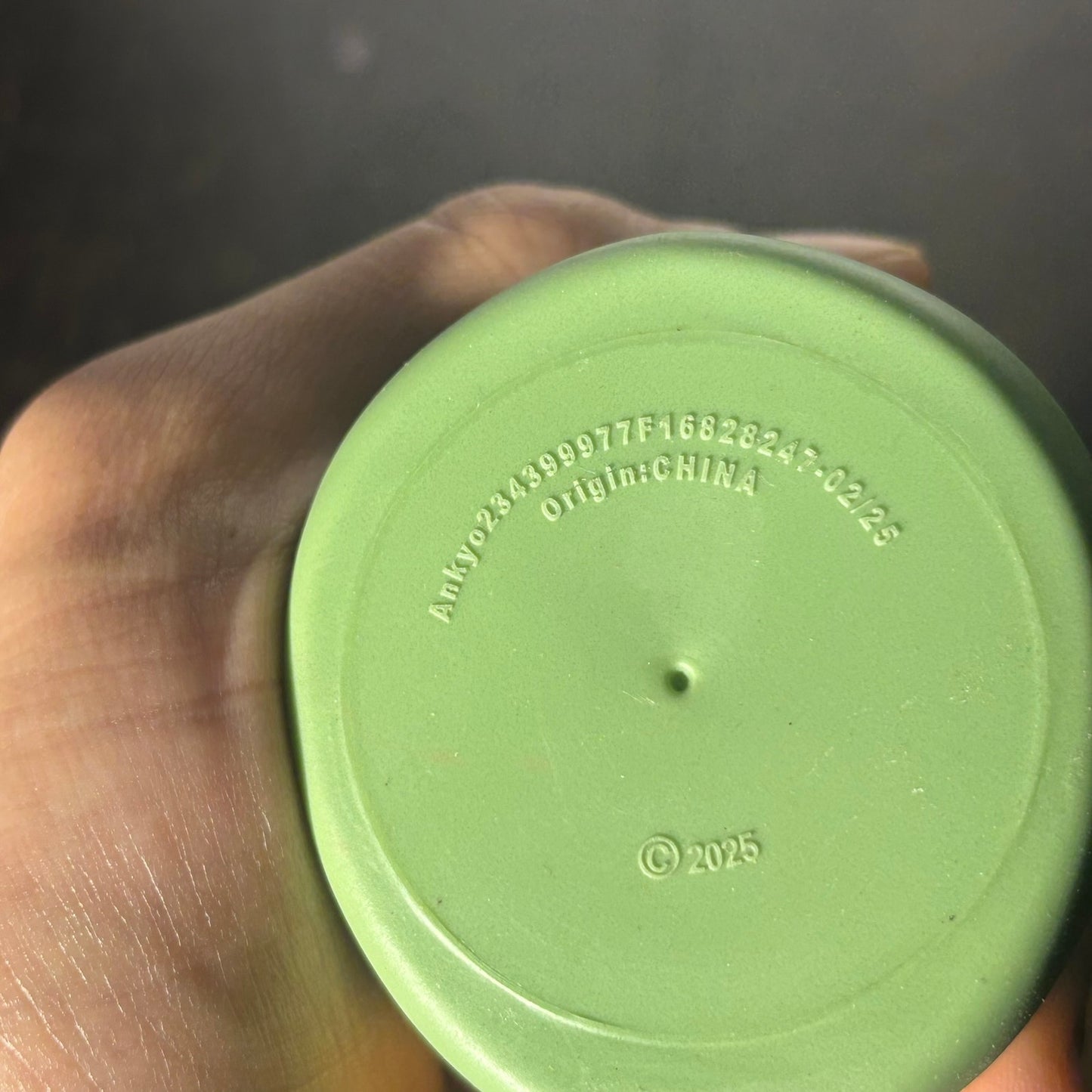 Green Duck - Toy