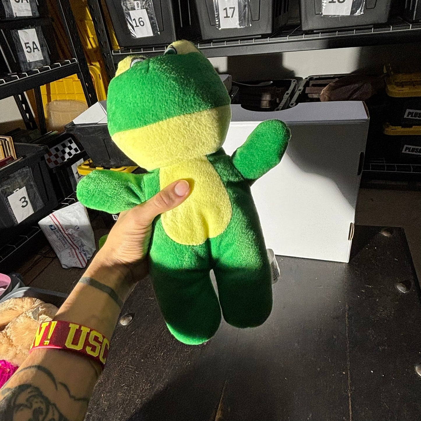 Cute Frog - Plushie