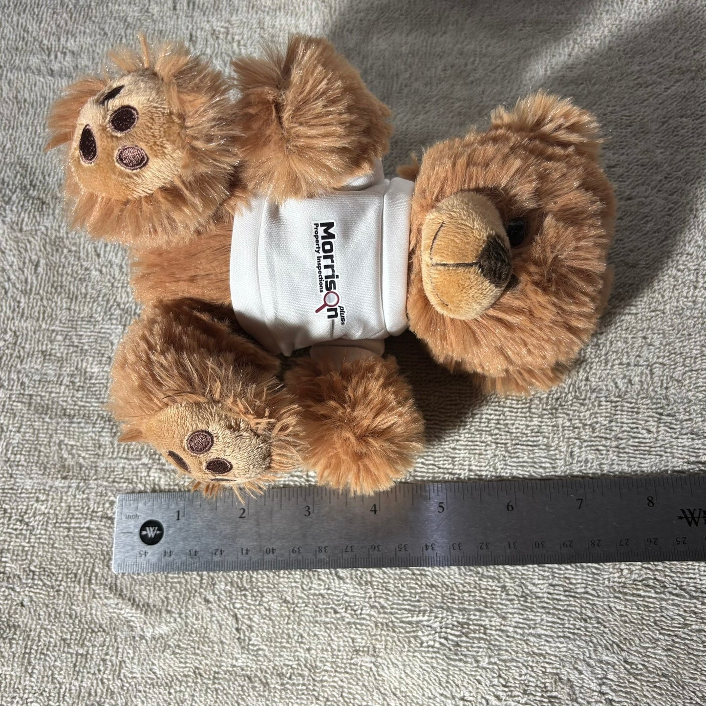 Morrison Bear - Plushie