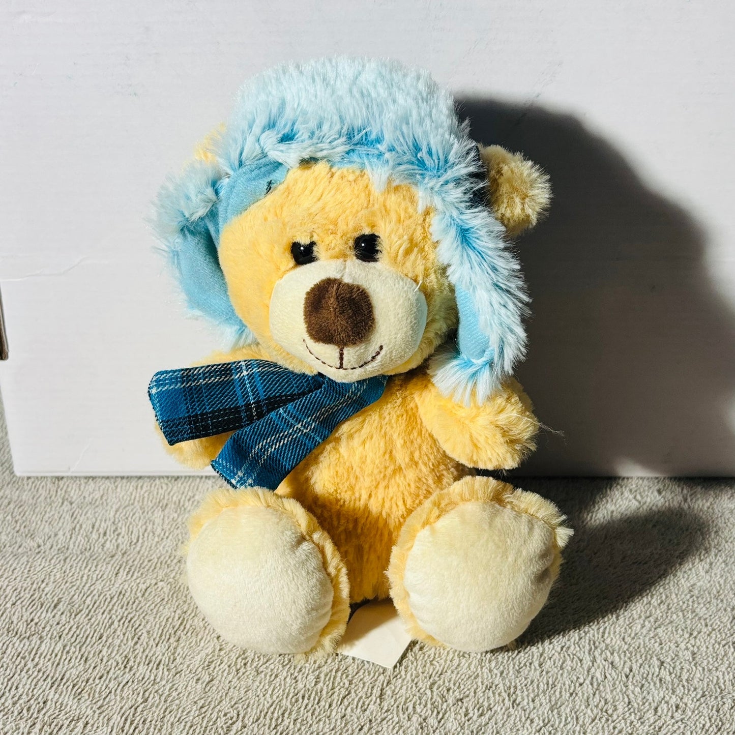 Hug Fun Bear - Plushie