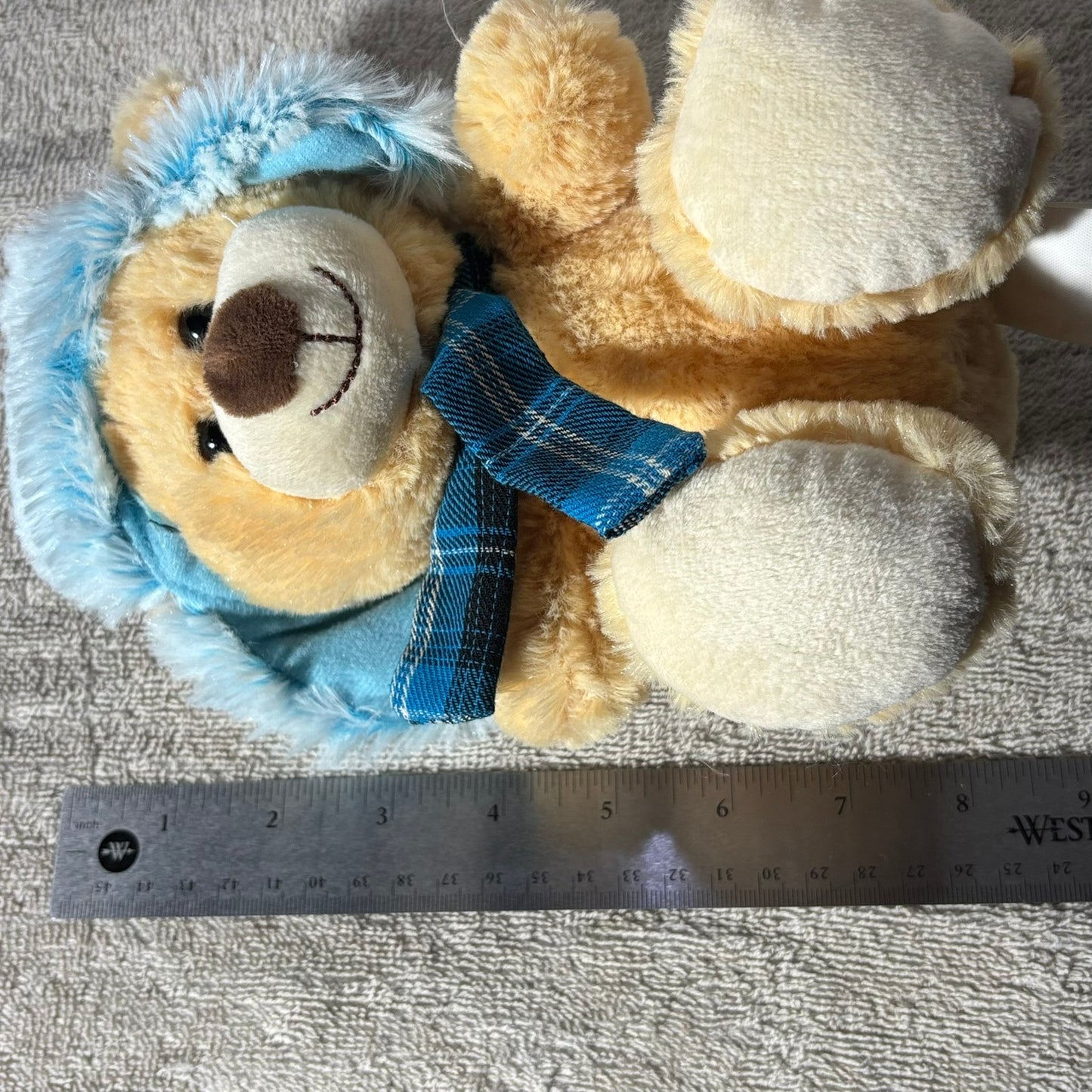 Hug Fun Bear - Plushie