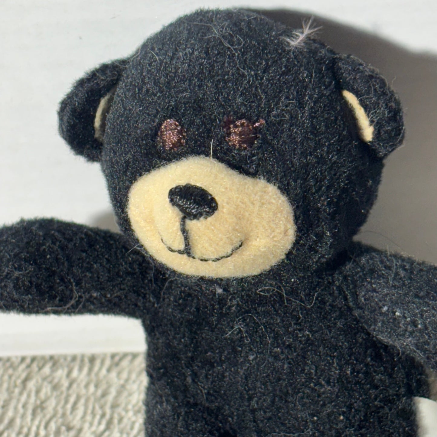Black Bear - Plushie