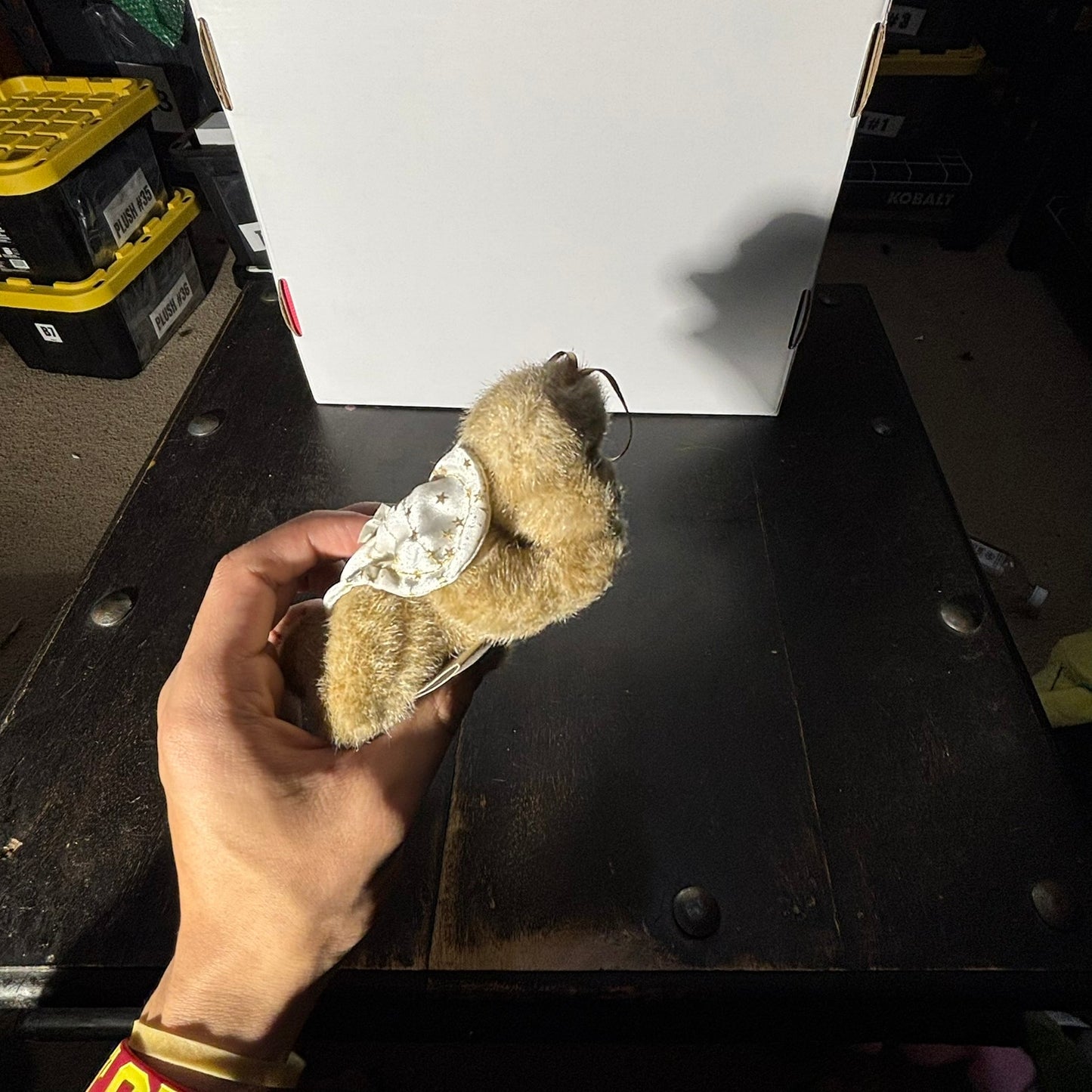 Simple Bear - Plushie