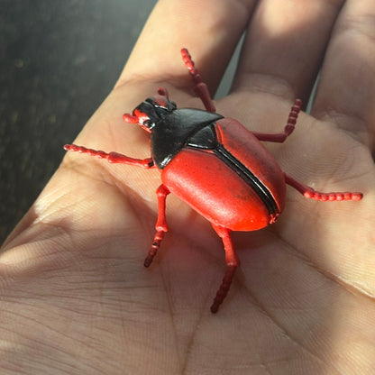 Red Bug - Toy