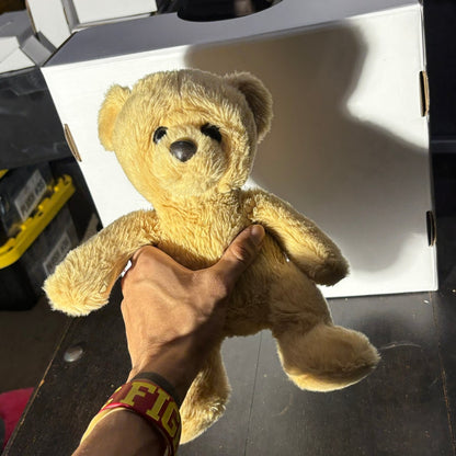 Aurora Bear - Plushie